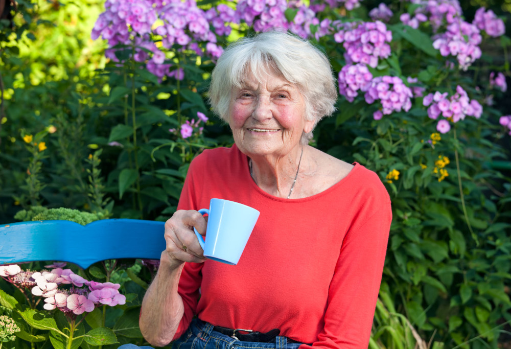 Happy older woman drinking coffee in garden 36878250 L