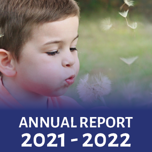 Annual Report Web Image