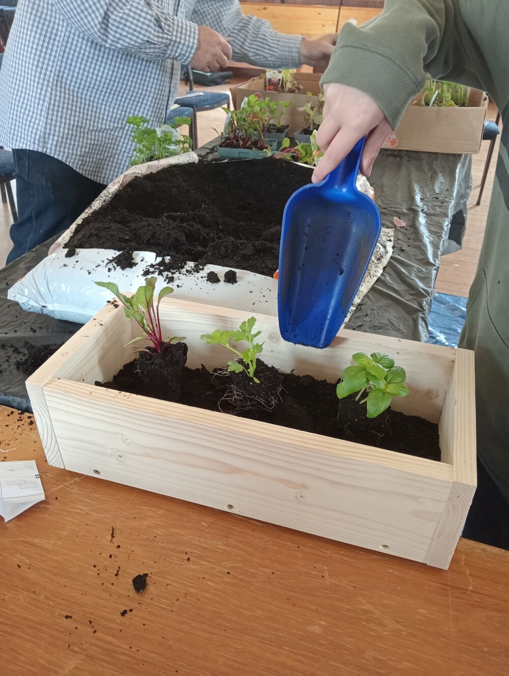 Planter 7